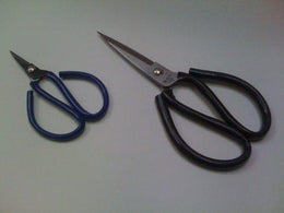 Pyramid Pure Honey 16 Oz