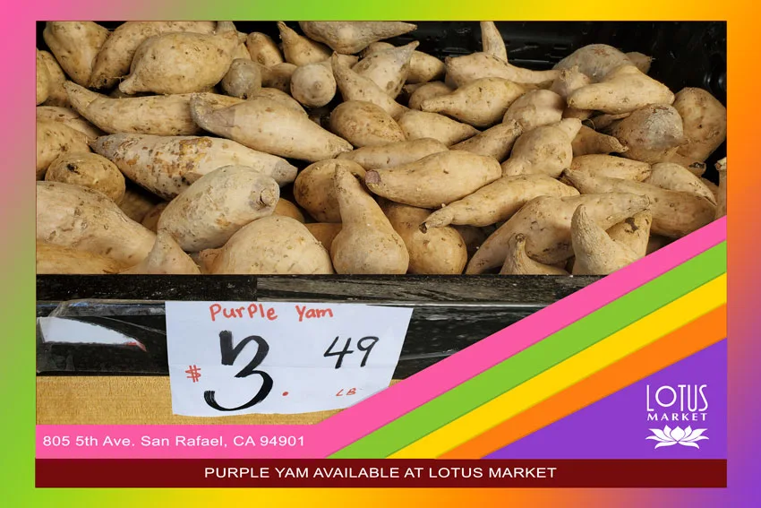 Lotus Market - The Enchanting Purple Yam
